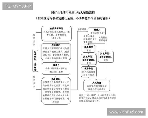 汇彩控股有限公司应对市场变化的风险管理与控制措施