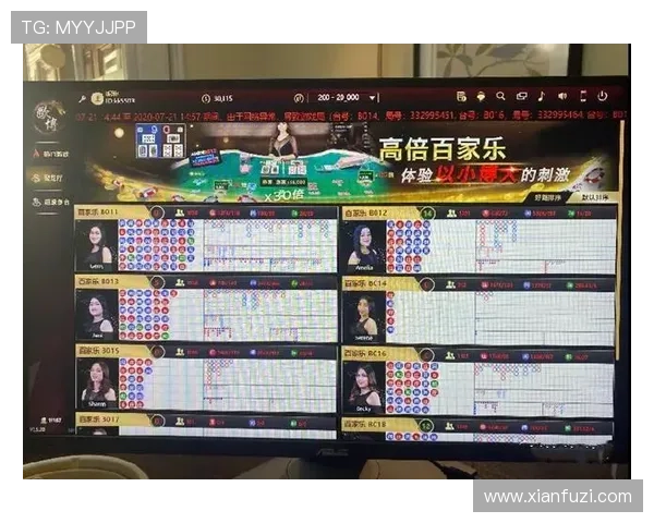 新手必看百家乐注码技巧全面解析让你快速掌握投注技巧提升游戏体验