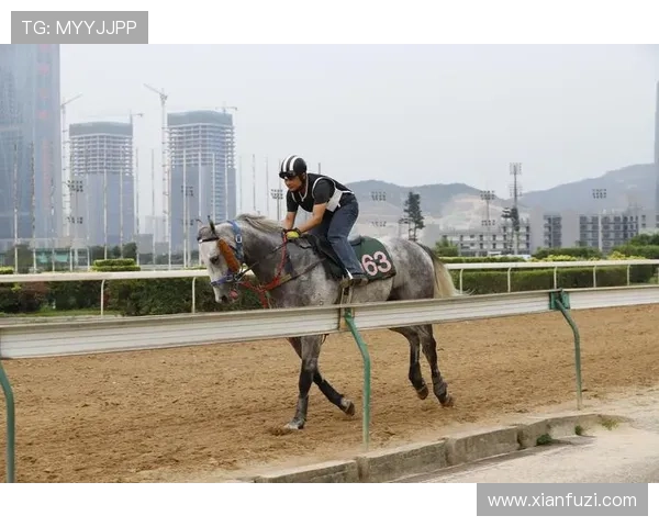 掌握澳门赛马会赛事最新消息助你第一时间了解赛马比赛的精彩瞬间 掌握澳门赛马会赛事最新消息助你第一时间了解赛马比赛的精彩瞬间