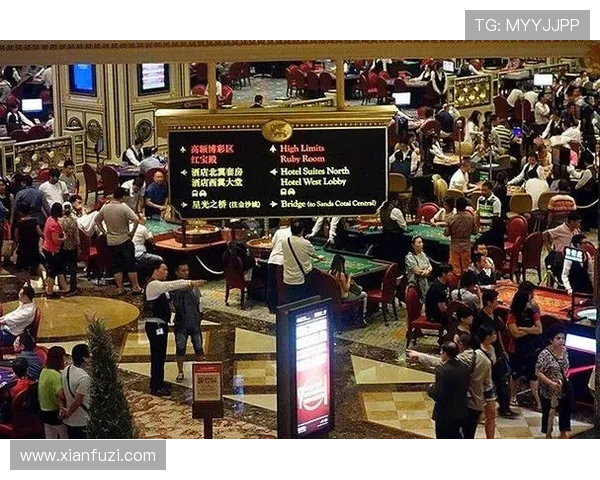 澳门十大赌厅全攻略，涵盖位置、游戏种类和服务质量的全面分析