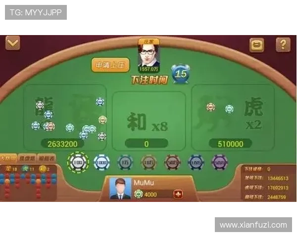 龙虎斗百家乐游戏界面与操作指南让新手快速上手体验流畅游戏体验