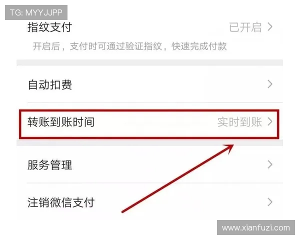 db棋牌转出金额到账时间及操作流程详细介绍 db棋牌转出金额到账时间及操作流程详细介绍